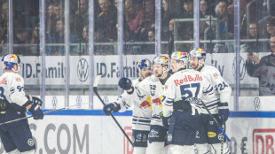 DEL: Matchb&auml;lle f&uuml;r M&uuml;nchen und Bremerhaven