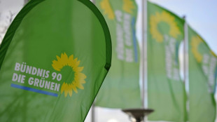 Gr&uuml;nen-Parteitag im Zeichen der Haushaltskrise - Asyldebatte auf Samstag vertagt