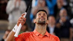 Djokovic continues French Open progress after Kosovo controversy