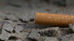 Fumer à la plage, au parc ou sous un abribus interdit à partir de dimanche, selon un décret au JO
