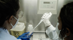 Mur pubblica bando Prin 2026, disponibili 260 milioni