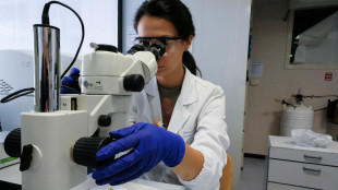 Le metastasi del tumore al seno si diffondono come gocce d'acqua
