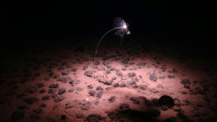 Un &eacute;tonnant "oxyg&egrave;ne noir" fabriqu&eacute; dans les abysses de l'oc&eacute;an Pacifique