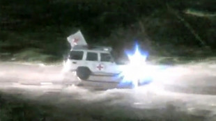 Frankreichs Au&szlig;enministerin: Freigelassene franz&ouml;sische Geiseln sind wohlauf