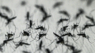 Le Br&eacute;sil suspend la vaccination contre la dengue par dose unique apr&egrave;s deux morts suspectes