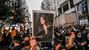 L'Iran fait &eacute;tat de plus de 300 morts depuis le d&eacute;but des troubles