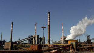 'Gravi violazioni', ricorso al Colle contro l'Aia per l'ex Ilva