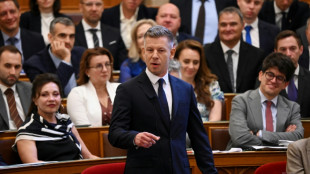 Ofensiva do Parlamento da Hungria contra a 'm&aacute;fia' de Orb&aacute;n ganha for&ccedil;a