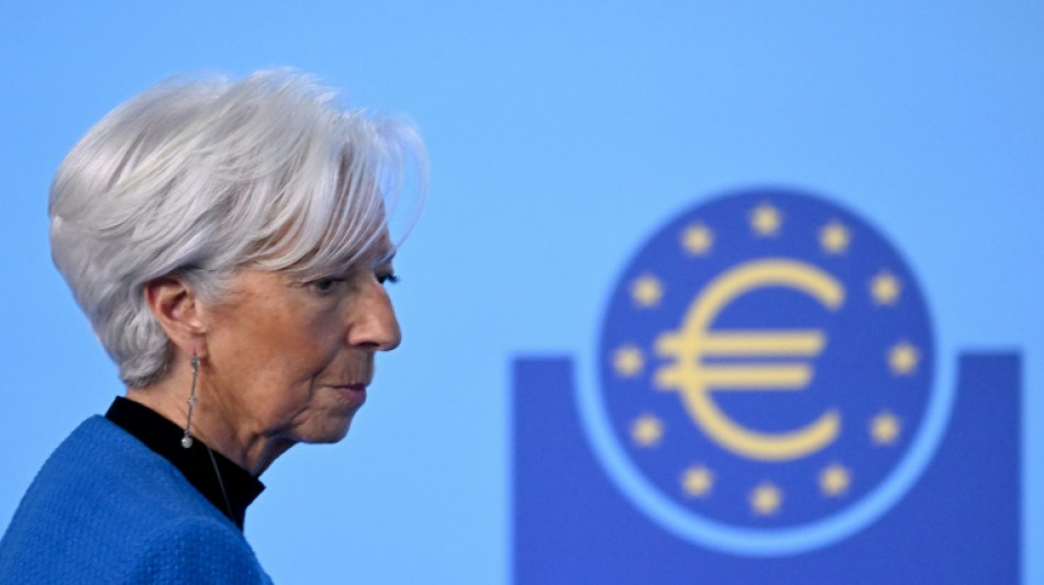 Trump tariff rollercoaster complicates ECB rate call