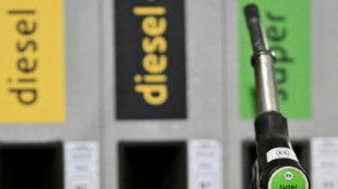 Bundestag soll Freitag &uuml;ber Neuauflage des Tankrabatts abstimmen