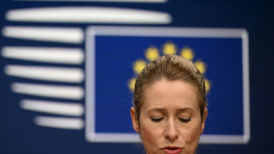 Kallas zu neuer US-Sicherheitsstrategie: USA weiter "unser größter Verbündeter"