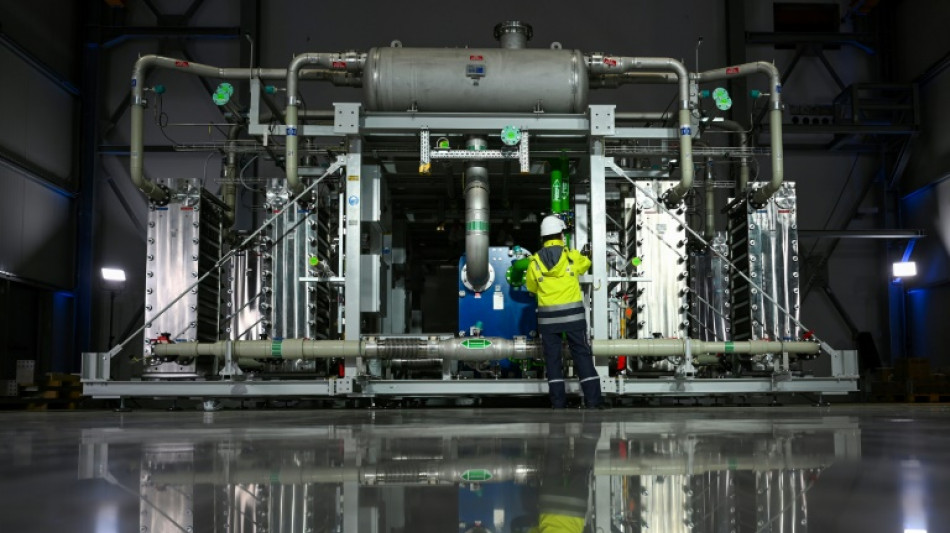 Umwelt- und Klimasch&uuml;tzer fordern von Bundesregierung Fokus auf gr&uuml;nen Wasserstoff