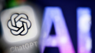 'I don't': AI wedding vows fall foul of Dutch law