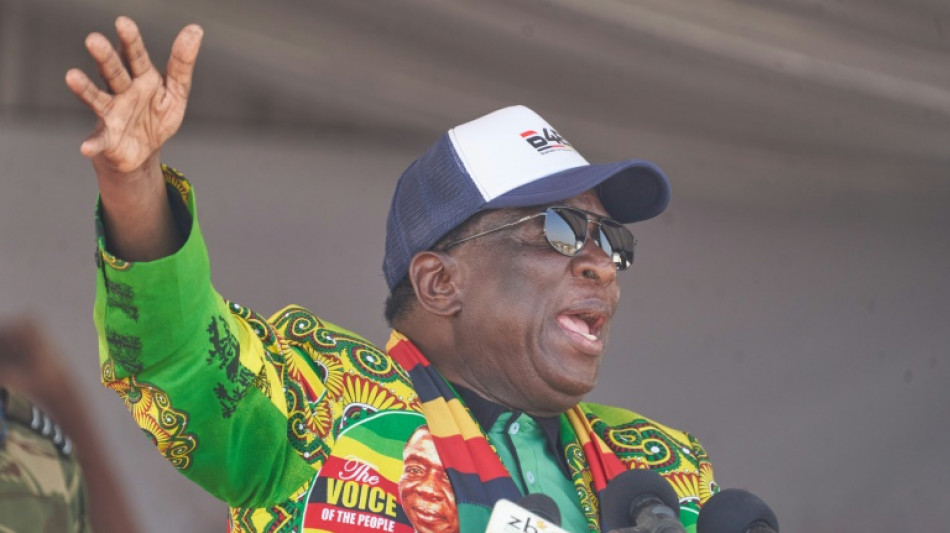 Zimbabwe's 80-year-old 'Crocodile' president seeks new term
