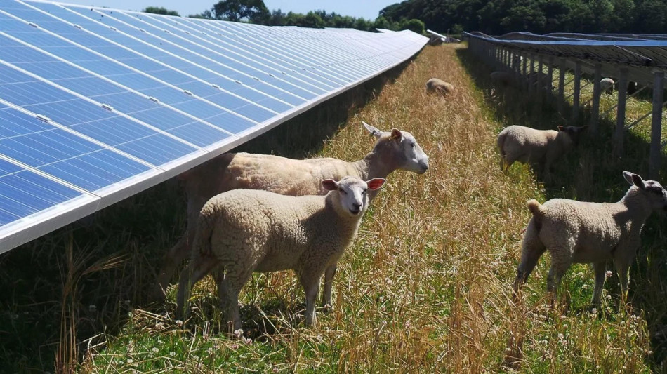 Gse, le Cer crescono in Italia con benefici sociali e per i territori