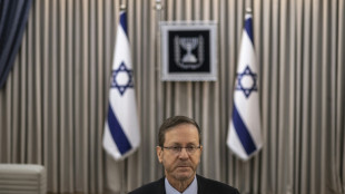 Israel president tells AFP Europe should back efforts to 'eradicate' Hezbollah