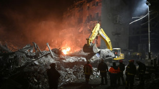 L'Ukraine re&ccedil;oit ses alli&eacute;s &agrave; Kiev