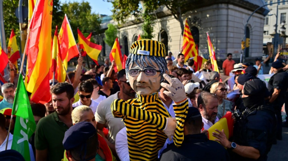 El Tribunal Supremo pide explicaciones al Gobierno espa&ntilde;ol y a la polic&iacute;a por la fuga de Puigdemont