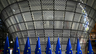 La UE llega a un acuerdo de m&iacute;nimos para reducir sus emisiones de gases de efecto invernadero