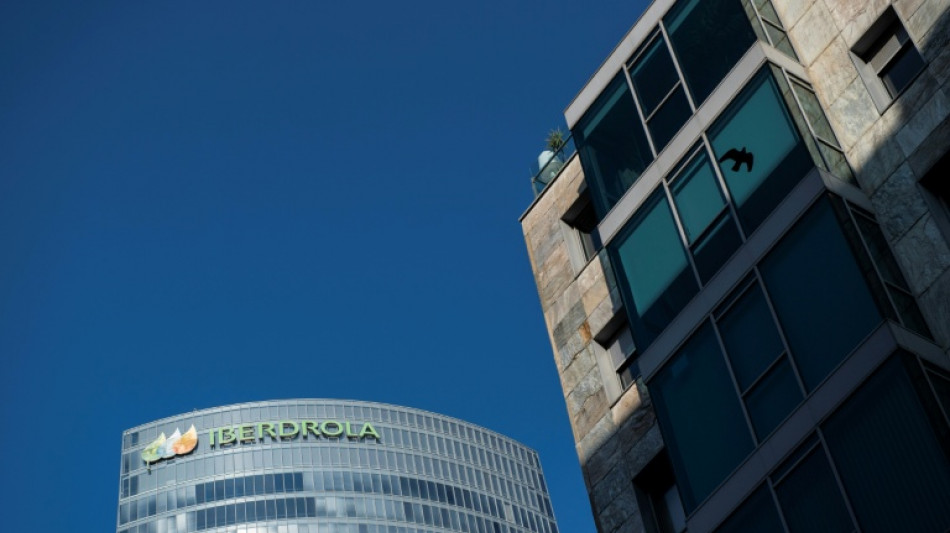Iberdrola invertir&aacute; 68.000 en Reino Unido, EEUU y Brasil