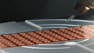 L'Inde enfin en lice sur le marché des puces, se réjouit un pionnier de la tech