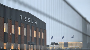 Un sindicato sueco pone fin a una huelga en Tesla tras casi tres a&ntilde;os