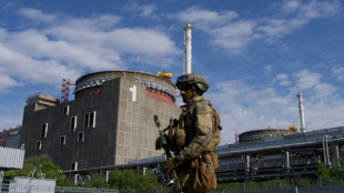 Ukraine: Russland will besetztes Akw an die Krim anschlie&szlig;en