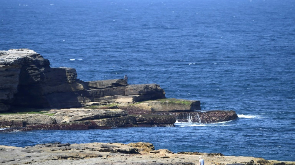 Sydney sucht nach t&ouml;dlicher Attacke auf Schwimmer nach Wei&szlig;em Hai