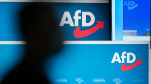 Weidel und Chrupalla wollen als neue AfD-Doppelspitze Krise der Partei &uuml;berwinden
