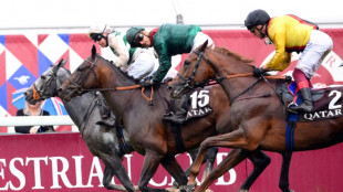 Arc-winning jockey Soumillon given the elbow by Aga Khan