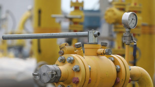 Il gas in forte rialzo (+6%) a 55 euro al Megawattora