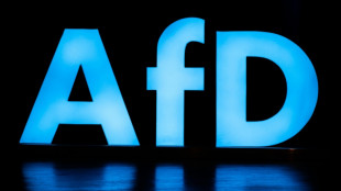 "Am Halsband des Kreml": Gegen die AfD werden Spionagevorw&uuml;rfe laut