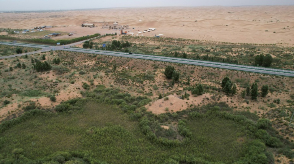 China's 'Great Green Wall' brings hope but also hardship