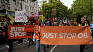 A Londres, des militants climatiques d&eacute;fient le gouvernement avec un mois de mobilisation