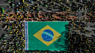 Milhares de apoiadores de Bolsonaro v&atilde;o &agrave;s ruas ap&oacute;s san&ccedil;&otilde;es dos EUA