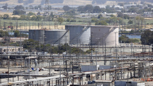 Ternsioni in Iran spingono il prezzo del petrolio, +0,93%