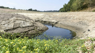 D&eacute;ficit de pr&eacute;cipitations de 20% depuis septembre, selon M&eacute;t&eacute;o-France