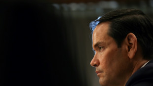 Rubio dice que Siria podría estar a semanas de una "guerra civil a gran escala"