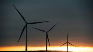 Un village des Deux-S&egrave;vres refuse des &eacute;oliennes "plus hautes que la tour Montparnasse"