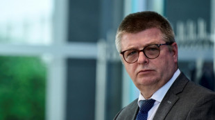 "Der Kurs steht nach rechts au&szlig;en": Haldenwang nimmt AfD sch&auml;rfer ins Visier