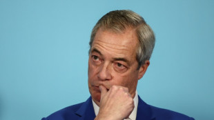 El l&iacute;der del partido antiinmigraci&oacute;n brit&aacute;nico renuncia a su esca&ntilde;o para forzar una elecci&oacute;n parcial