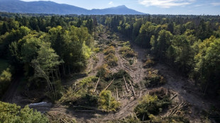 Rejet d'une demande de suspendre la construction d'une autoroute en Haute-Savoie