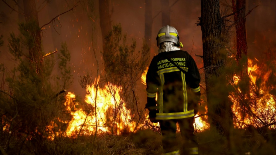 Waldbrandsituation in franz&ouml;sischer Gironde in der Nacht "insgesamt stabil" 