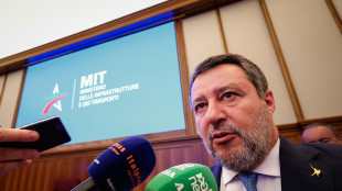 Salvini, 7 mila bimbi feriti per mancato allaccio seggiolino in auto, inaccettabile