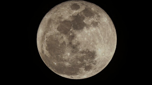 Luna, la Nasa inizia i preparativi per la missione Artemis III