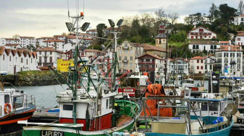 Pour prot&eacute;ger les dauphins, nouveau mois sans p&ecirc;che en 2027 dans le golfe de Gascogne