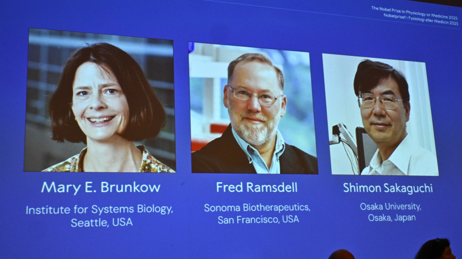 Nobel Medicina a Brunkow, Ramsdell e Sakaguchi