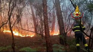 Italie : quelque 3.500 personnes &eacute;vacu&eacute;es en Toscane en raison d'un incendie