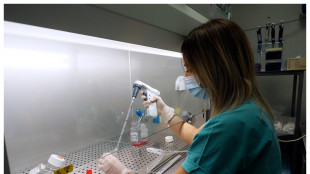 Prodotti in laboratorio i primi follicoli piliferi funzionanti