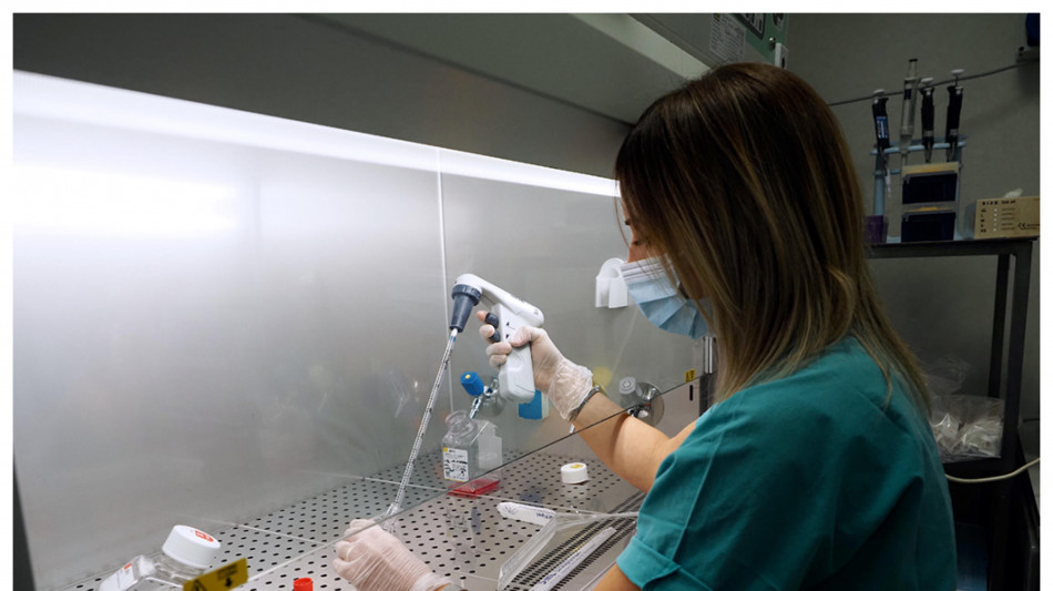 Scoperta una molecola chiave contro la degenerazione maculare